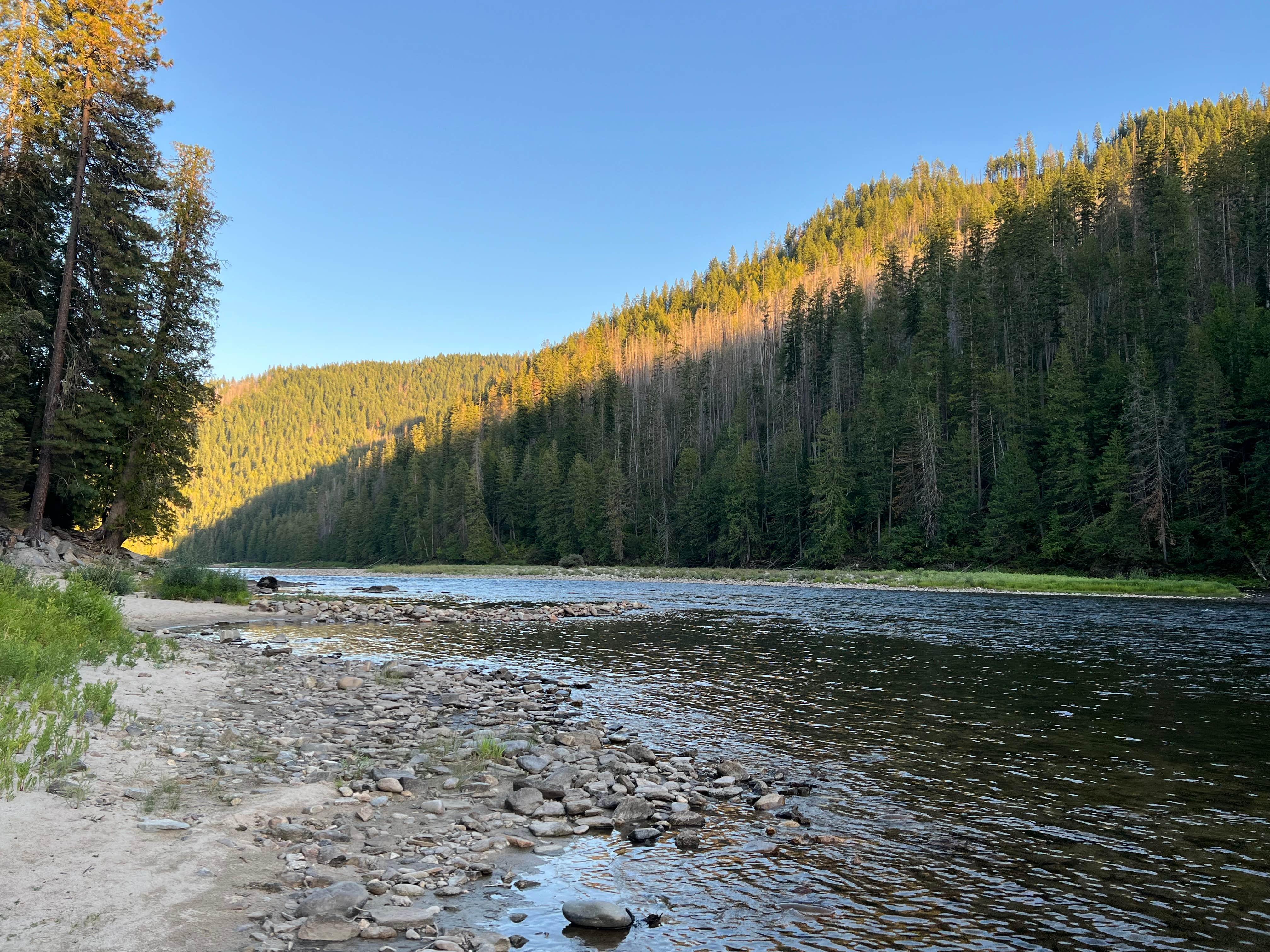 Camper-submitted photo at Wild Goose Campground near Kooskia, ID