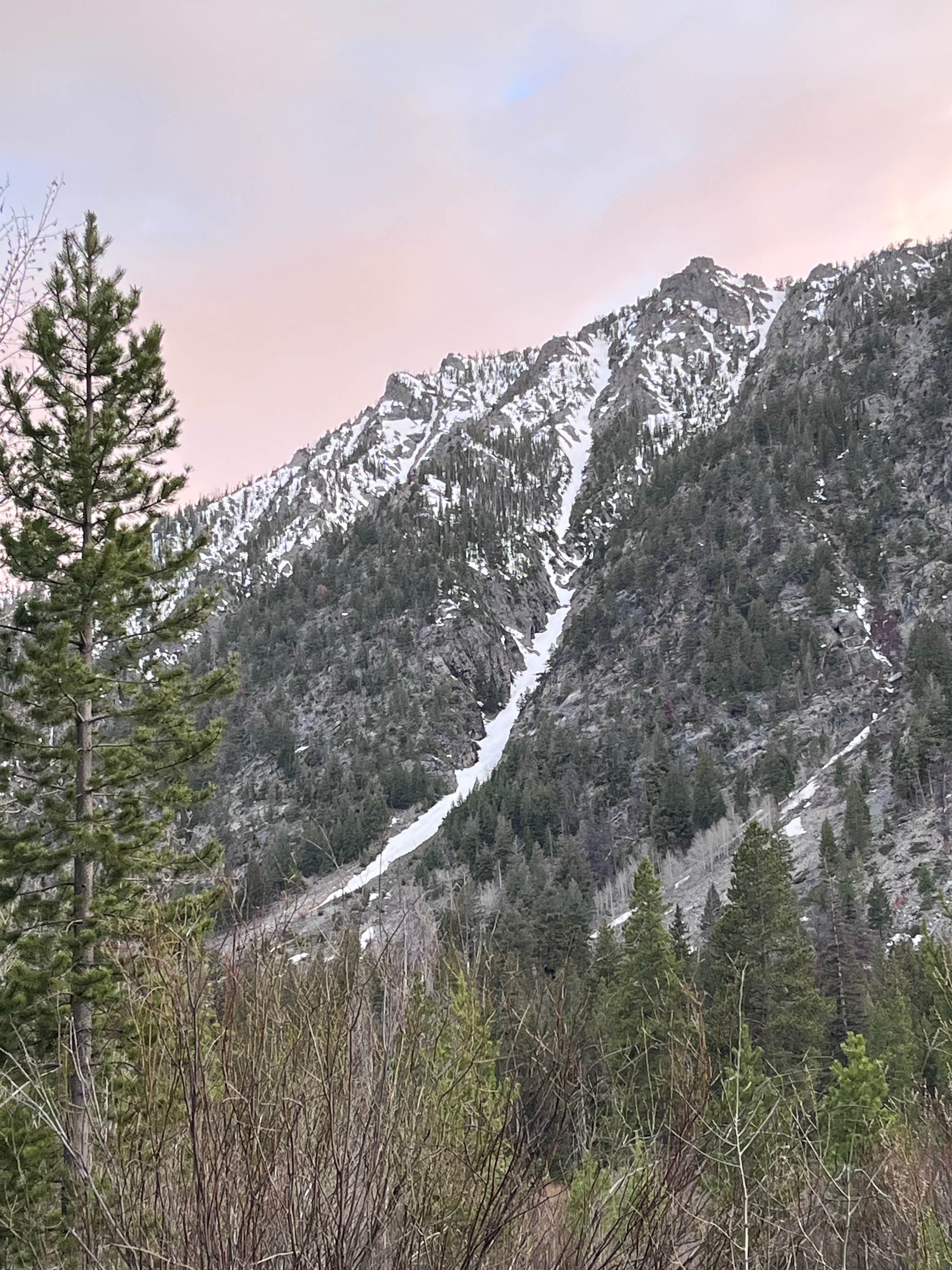 Camper submitted image from Wildhorse Campground - 2