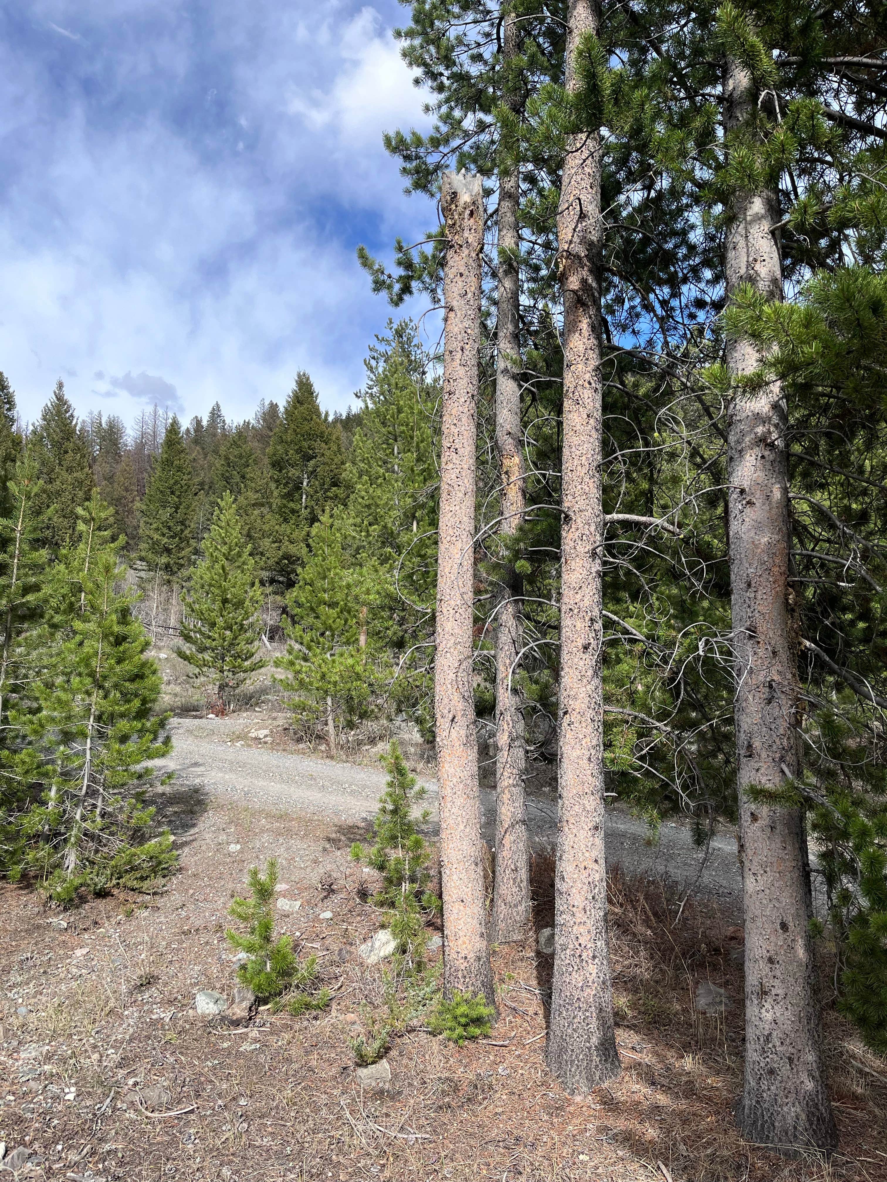 Camper submitted image from Wildhorse Campground - 4
