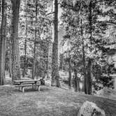 Review photo of Willow Creek Campground by Sadie P., February 24, 2025