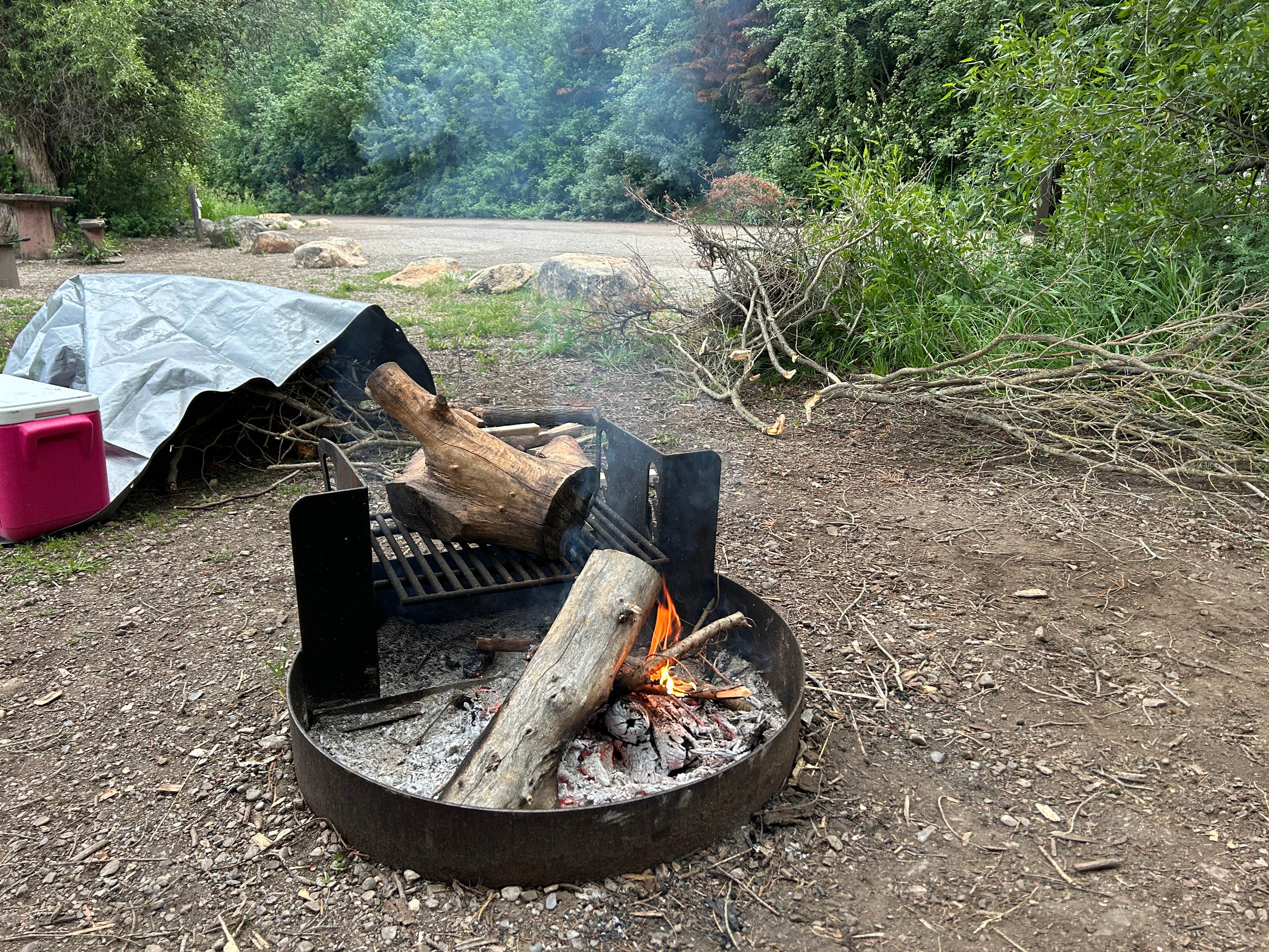Rachel M.'s photo at Willow Flat Campground near Montpelier, ID