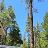 Review photo of Idyllwild Regional Park by E B., July 2, 2025