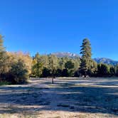 Review photo of Idyllwild Regional Park by Thamar D., November 25, 2025