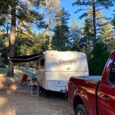 Review photo of Idyllwild Regional Park by Thamar D., November 25, 2025