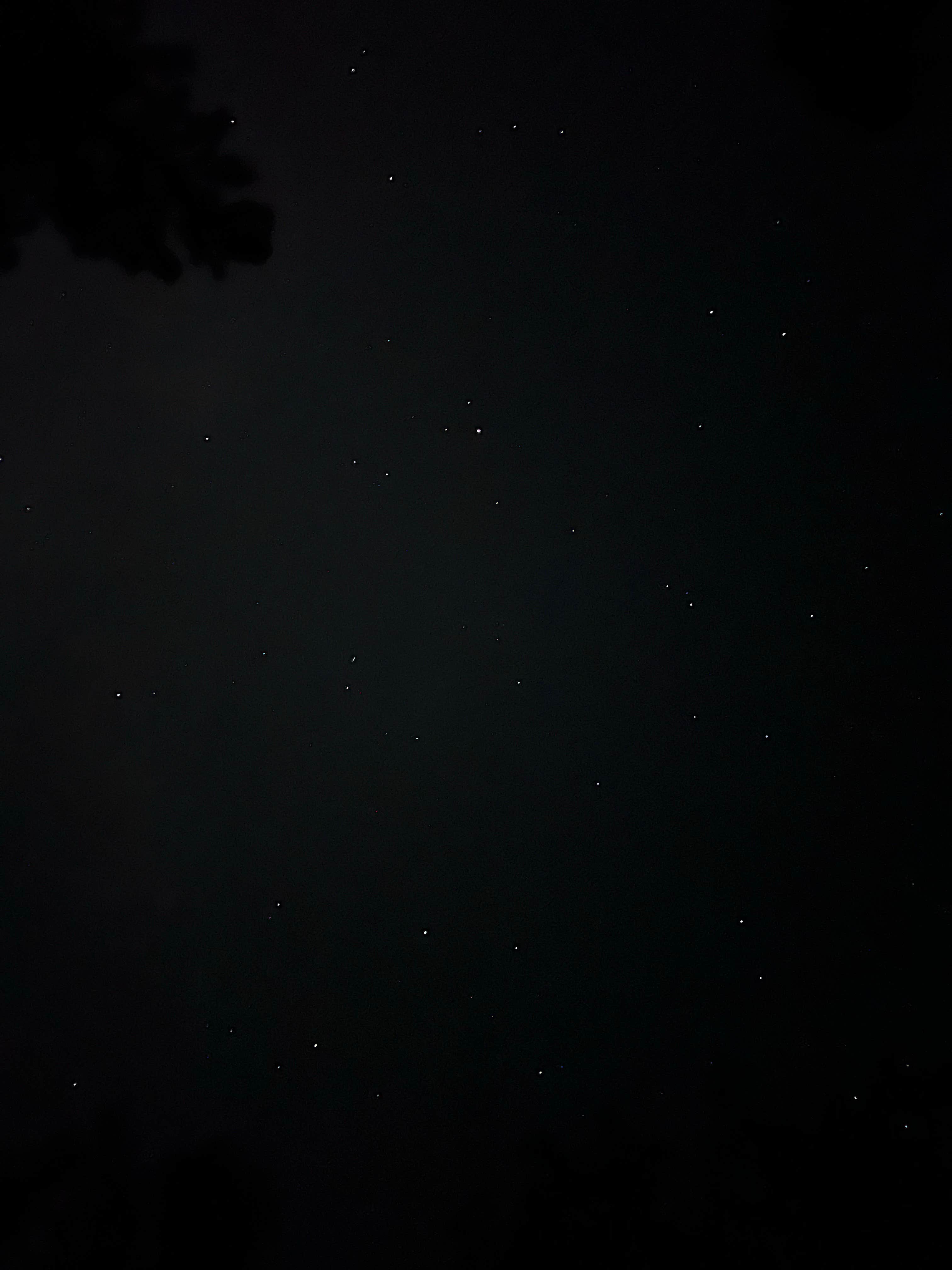 Camper submitted image from Idyllwild Regional Park - 3