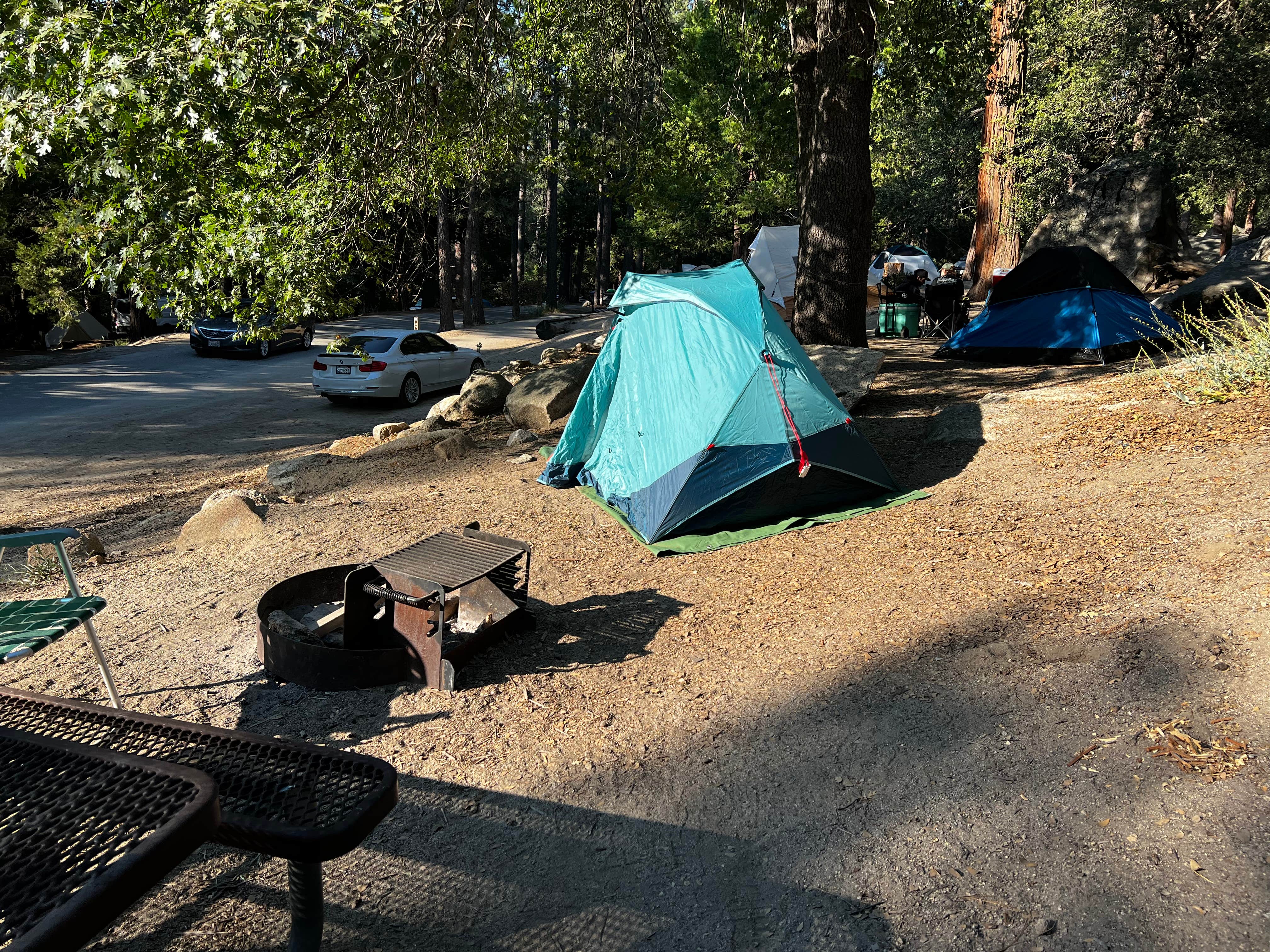 Camper submitted image from Idyllwild Regional Park - 2