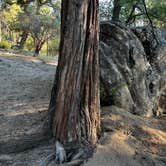 Review photo of Idyllwild Regional Park by Oliver S., June 29, 2025