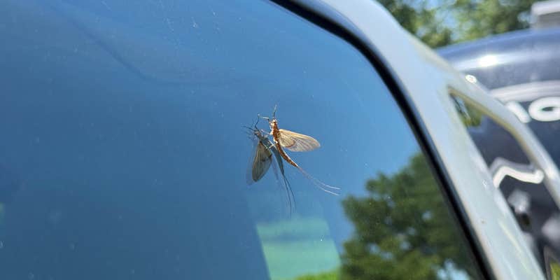Camper submitted image from Blanding Landing