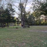 Review photo of Camp Cadiz Campground by tim O., October 24, 2026