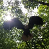 Review photo of Coon Creek (IL) by Leah B., August 16, 2026