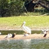 Review photo of Dam West Campground by Shawn , September 8, 2025
