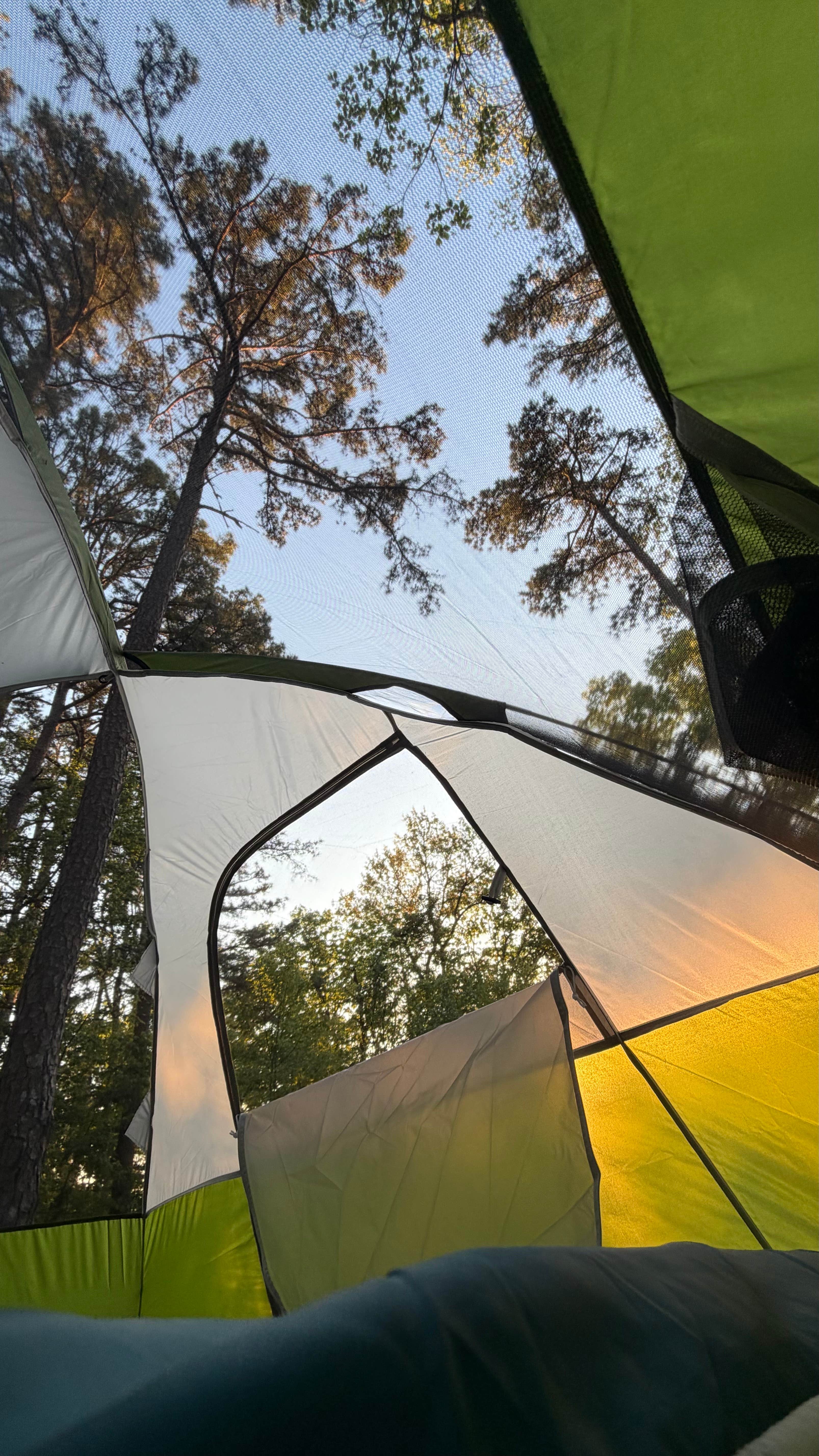 Ella P.'s photo at Pharoah - Garden of the Gods Rec Area Campground near Elizabethtown, IL