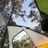 Review photo of Pharoah - Garden of the Gods Rec Area Campground by Ella P., April 21, 2026