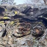 Review photo of Pharoah - Garden of the Gods Rec Area Campground by ellen , March 4, 2025