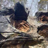 Review photo of Pharoah - Garden of the Gods Rec Area Campground by ellen , March 4, 2025