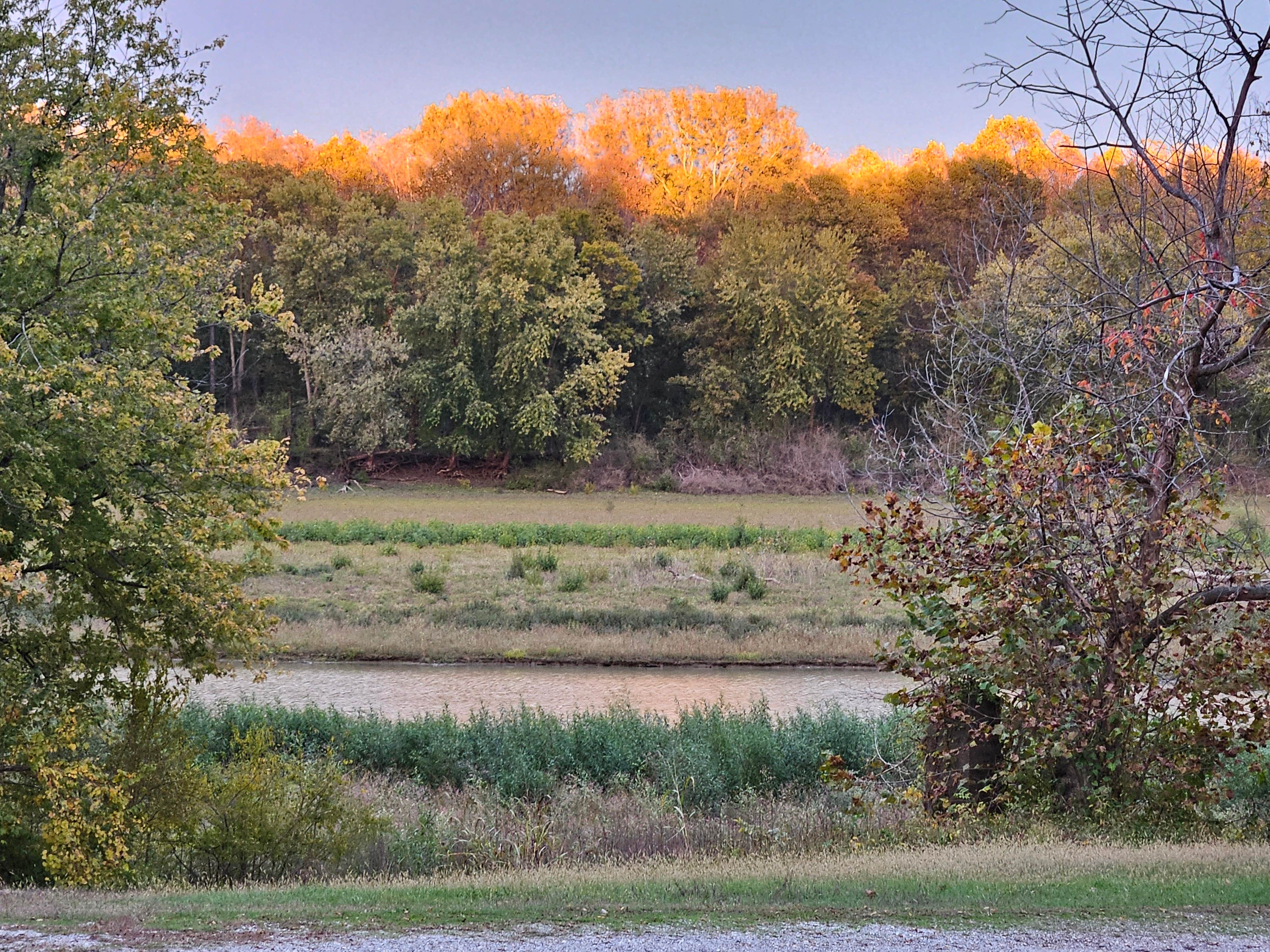 Camper-submitted photo at Hilltop Campground near Maunie, IL