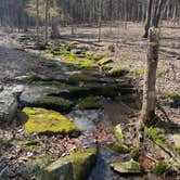 Review photo of Jackson Falls by Ryan B., March 21, 2026