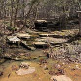 Review photo of Jackson Falls by Ryan B., March 21, 2026