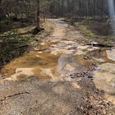 Review photo of Jackson Falls by Ryan B., March 21, 2026