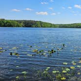 Review photo of Lake Glendale Recreation Area by Jamie R., June 4, 2026