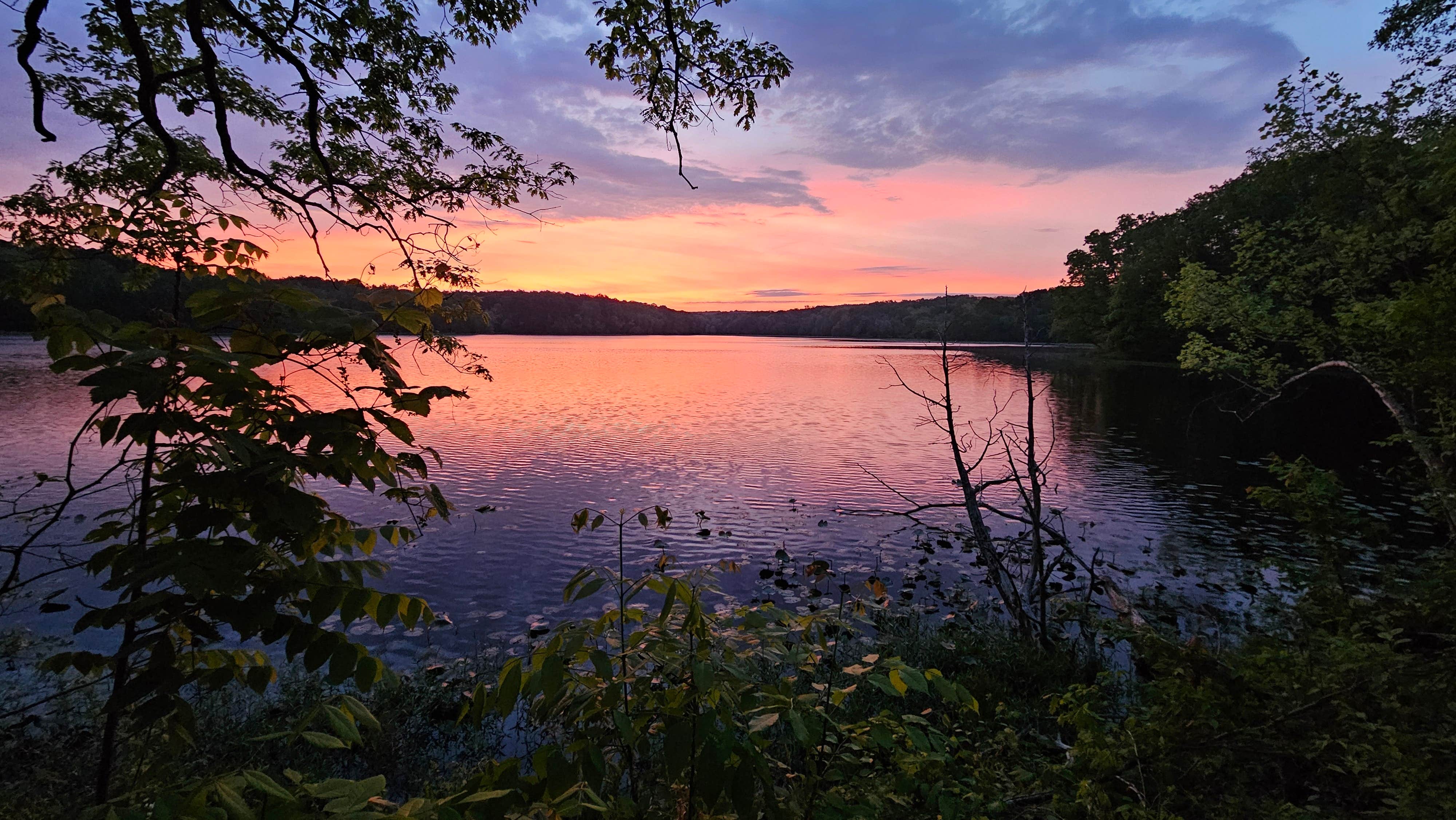 Jamie R.'s photo of a dispersed camping area at Lake Glendale Recreation Area near Equality, IL