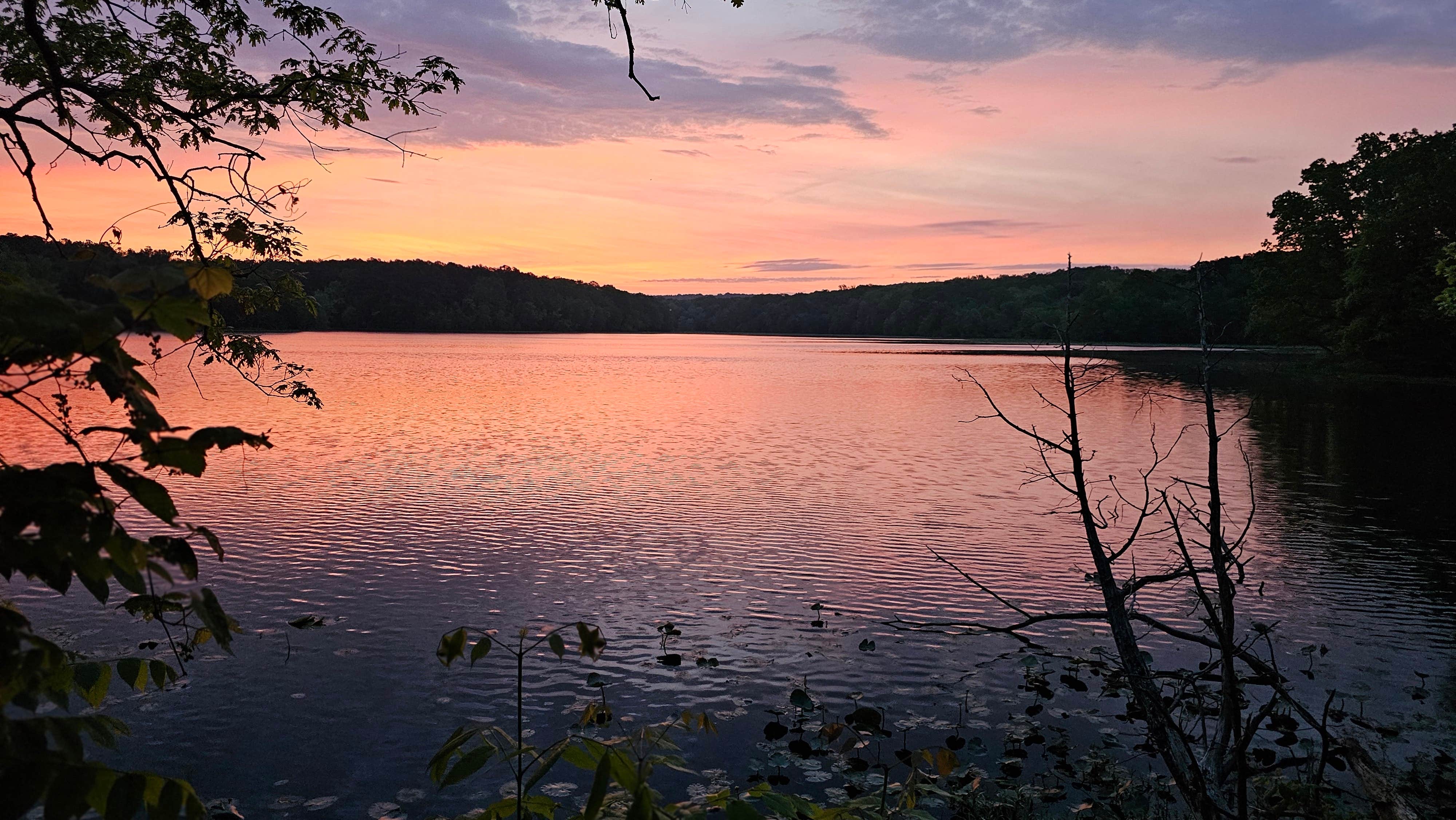 Jamie R.'s photo of a dispersed camping area at Lake Glendale Recreation Area near Karnak, IL