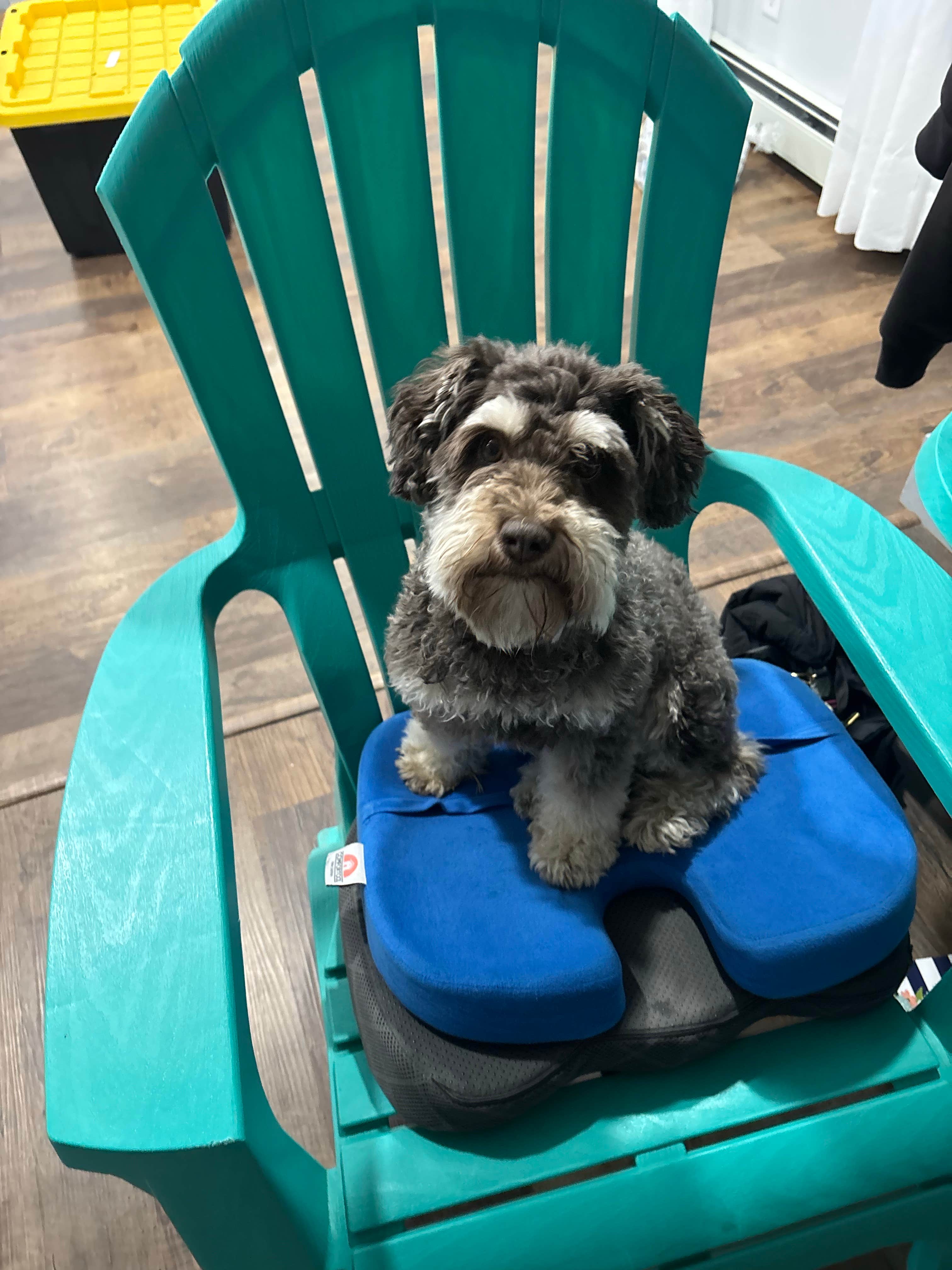 Camper-submitted photo at Lake Taylorville City Campground near Decatur, IL