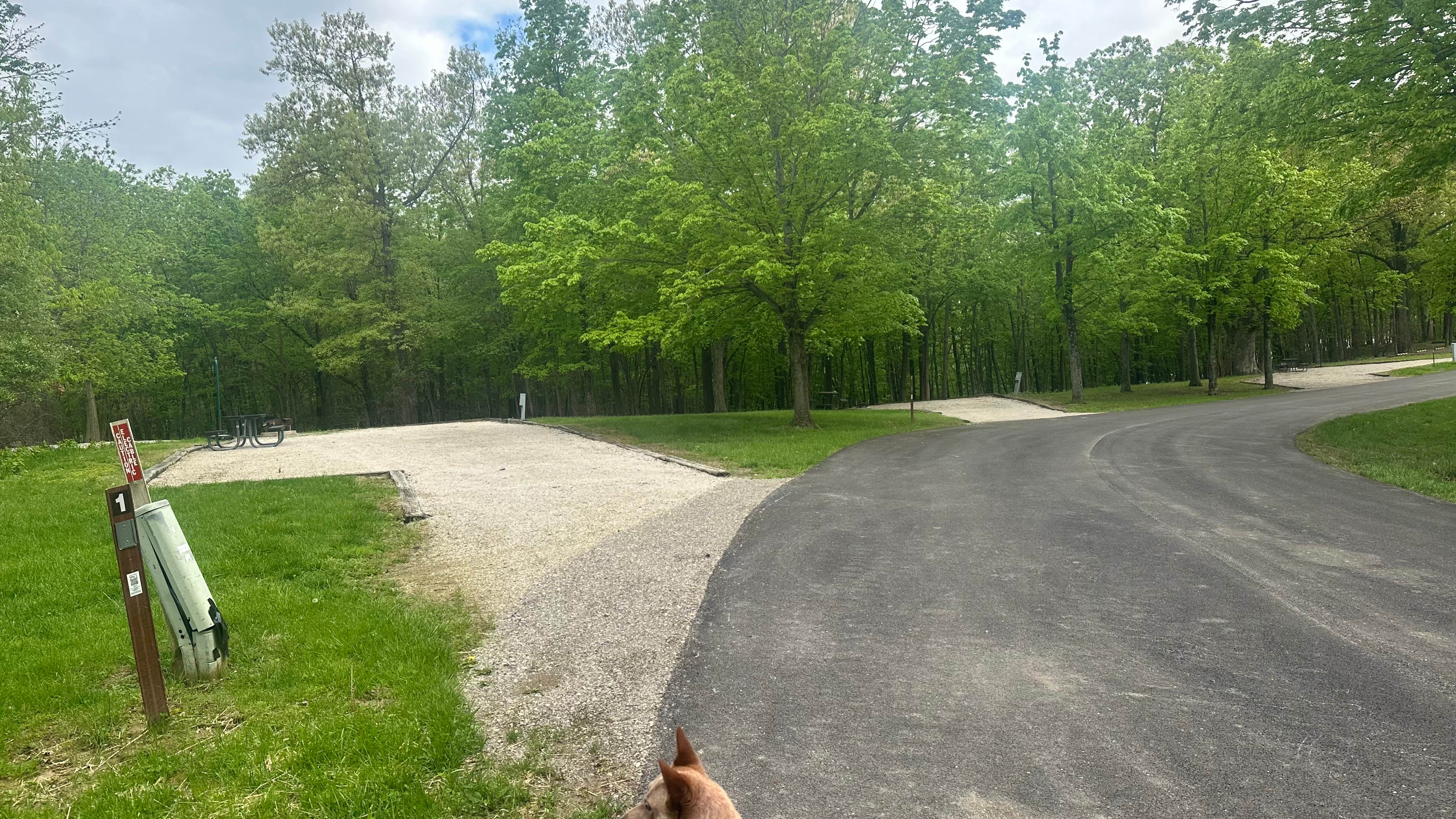 Shelly S.'s photo of camping with pets at Lithia Springs near Ramsey, IL