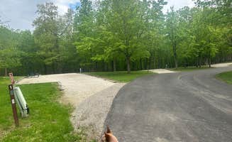 Shelly S.'s photo of camping with pets at Lithia Springs near Blue Mound, IL