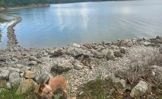 Shelly S.'s photo of camping with pets at Lithia Springs near Taylorville, IL