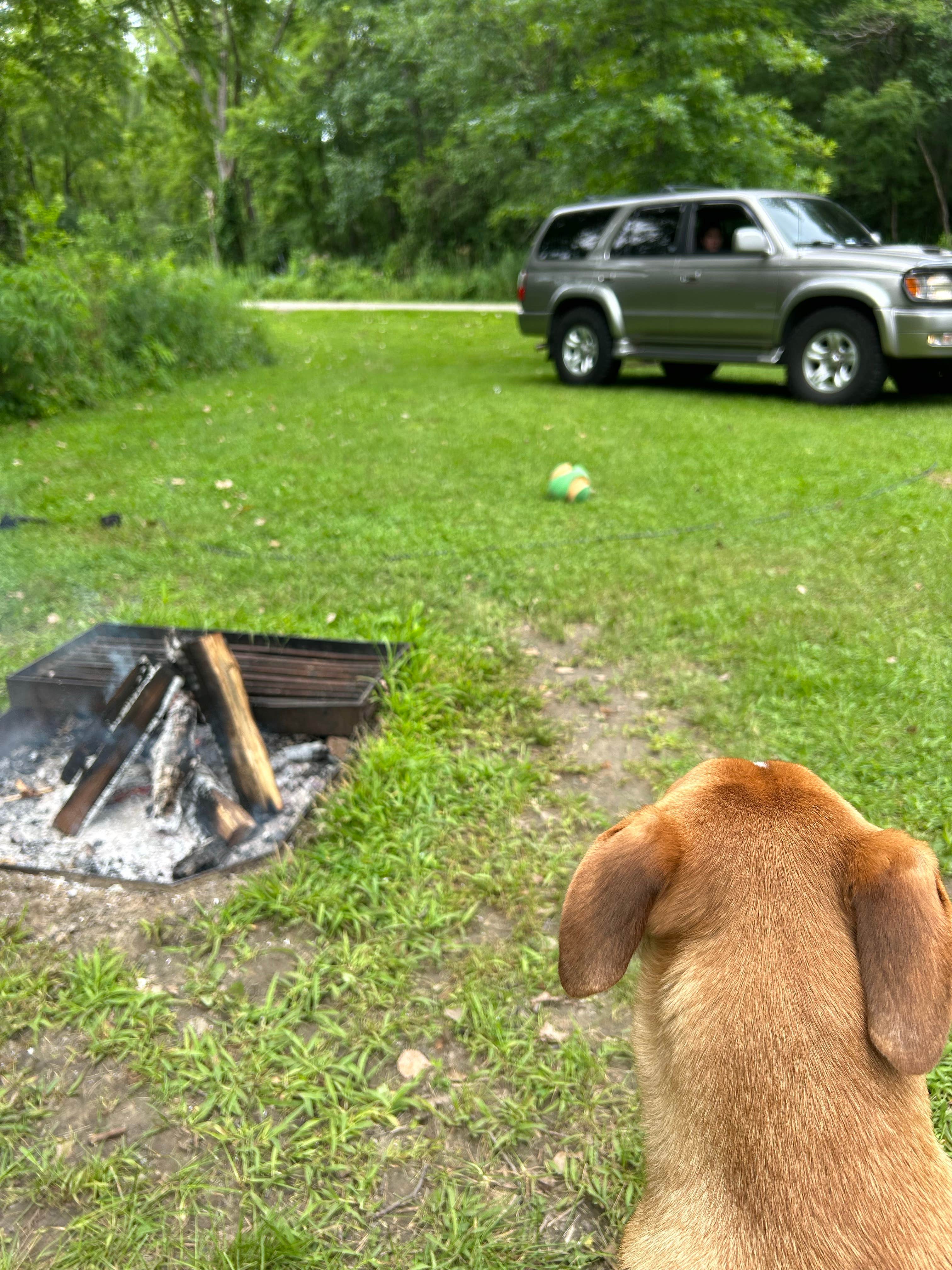Bryan S.'s photo at Mississippi Palisades State Park Campground near Savanna, IL