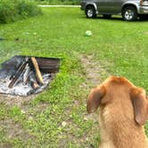 Review photo of Mississippi Palisades State Park Campground by Bryan S., May 6, 2025