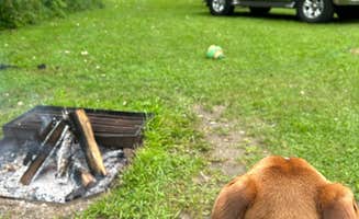 Bryan S.'s photo at Mississippi Palisades State Park Campground in Illinois