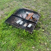 Review photo of Mississippi Palisades State Park Campground by Bryan S., May 6, 2025