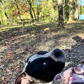 Review photo of Red Hills Lake State Park — Red Hills State Park by Corrie C., April 7, 2026