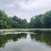 Review photo of Rock Cut State Park - Staghorn Campground by Julia B., June 15, 2025