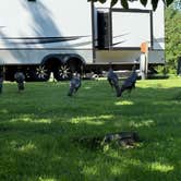 Review photo of Rock Cut State Park - Staghorn Campground by Christopher R., July 4, 2025