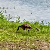 Review photo of Saline County State Conservation Area by Glen B., April 30, 2026