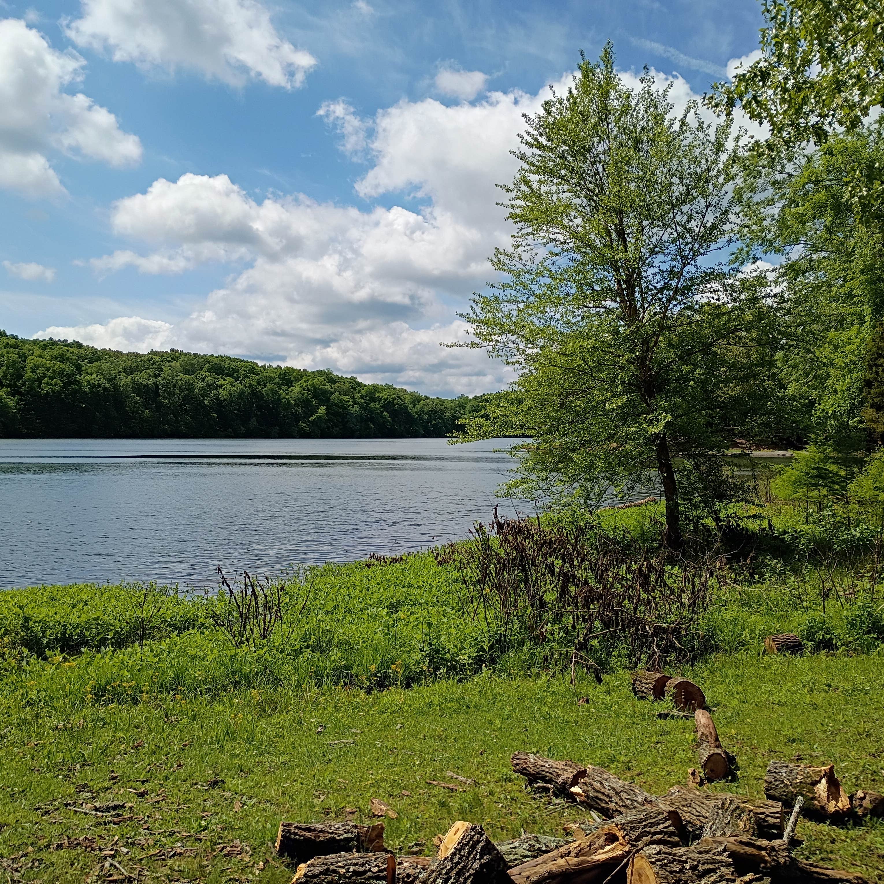 Camper-submitted photo at Saline County State Conservation Area near Herod, IL