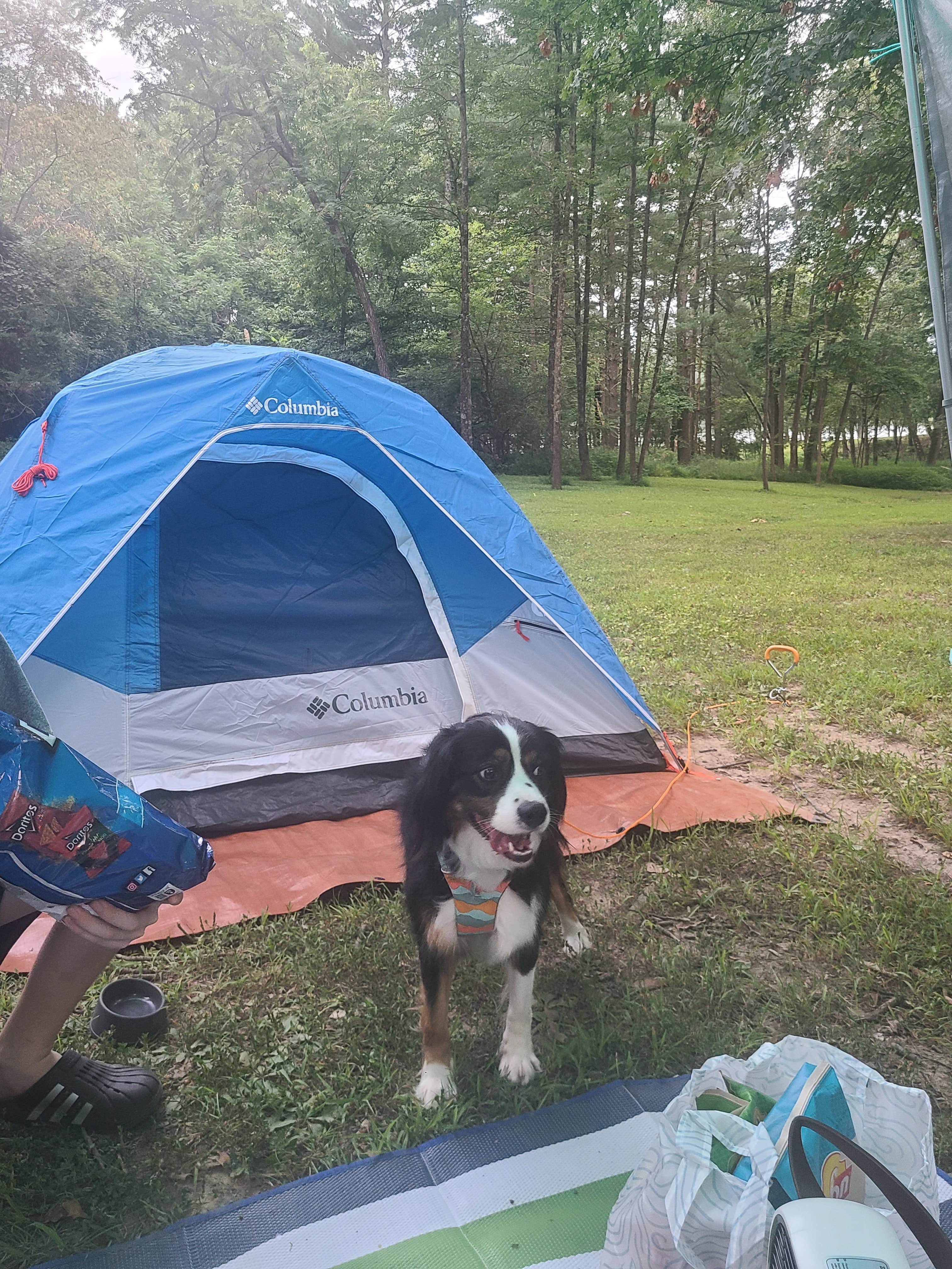 Camper submitted image from Sam Dale Lake State Conservation Area - 1