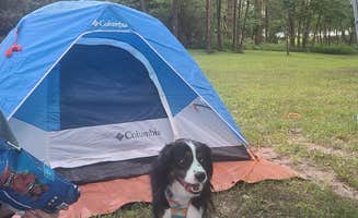 Rach W.'s photo of camping with pets at Sam Dale Lake State Conservation Area near Bonnie, IL