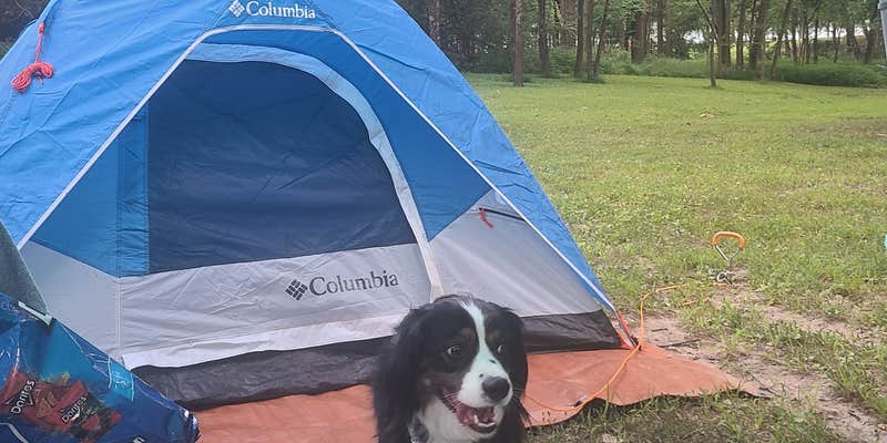 Camper submitted image from Sam Dale Lake State Conservation Area