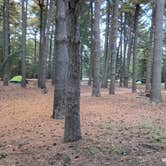 Review photo of Pine Campground — Sand Ridge State Forest by Jennifer C., October 12, 2026