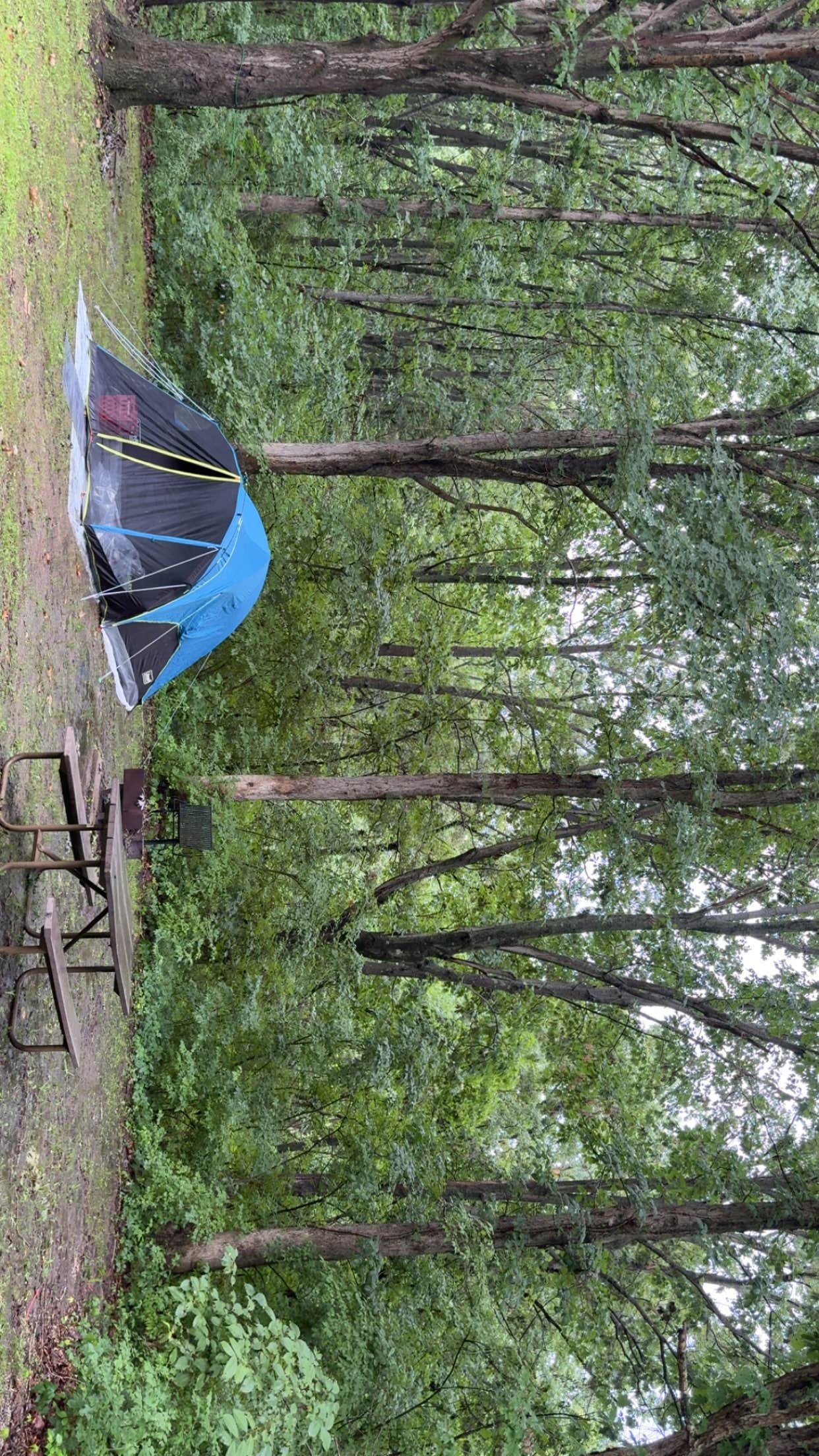 Camper-submitted photo at Deer Run Campground — Sangchris Lake State Park near Virginia, IL