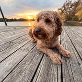 Review photo of Sangchris Lake State Park Campground by Garrett and Savannah B., November 10, 2025