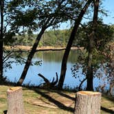 Review photo of South Marcum Campground by Hollie C., October 11, 2025