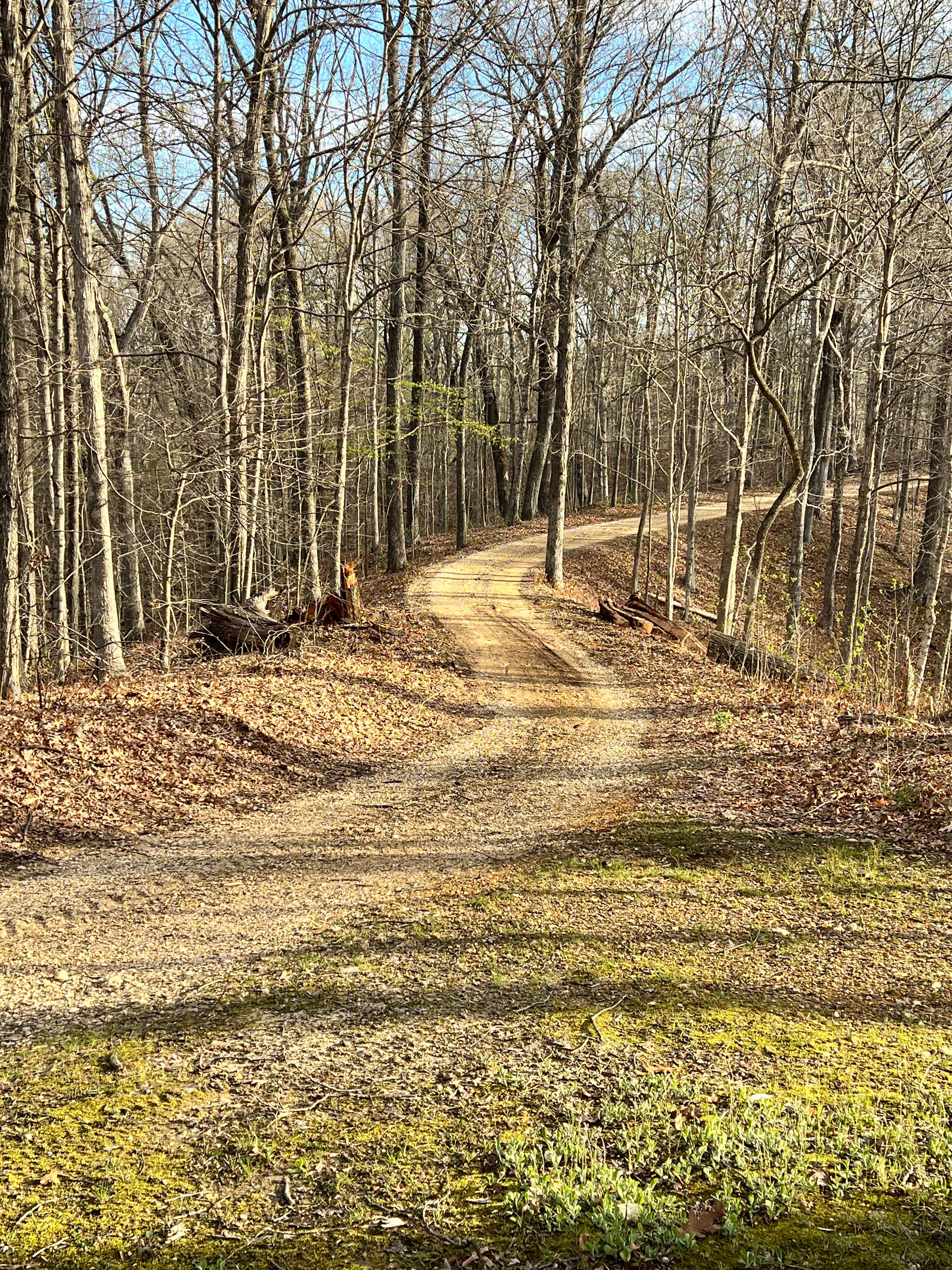 Camper submitted image from Trail of Tears State Forest - 3