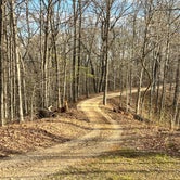 Review photo of Trail of Tears State Forest by Bill C., April 6, 2024