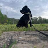 Review photo of Turkey Bayou Campground by Cindy P., April 12, 2026