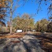 Review photo of Turkey Bayou Campground by Ethan B., November 2, 2024